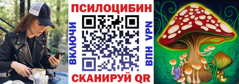 Псилоцибиновые грибы Cubensis  Купить закладки  Ковдор 